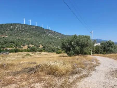 Grundstück Zum Verkauf In Didim Fevzipaşa