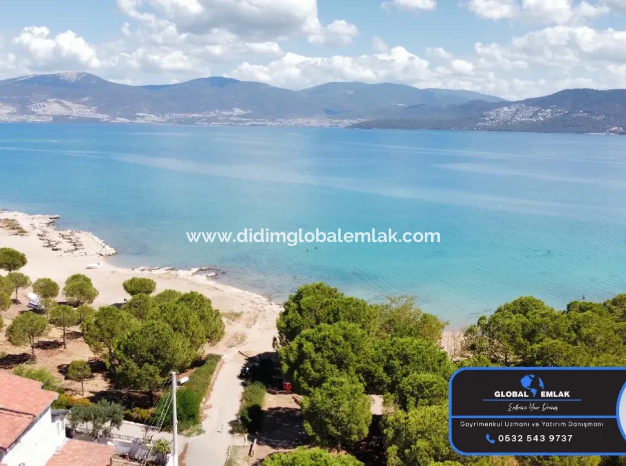 3 1 Villas For Sale In Kocareis Complex By The Sea In The Mercimek Area Of Didim Fevzipaşa