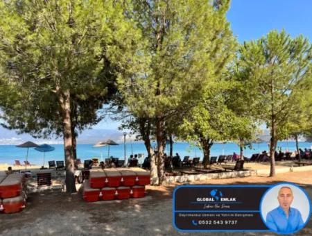 3 1 Villas For Sale In Kocareis Complex By The Sea In The Mercimek Area Of Didim Fevzipaşa